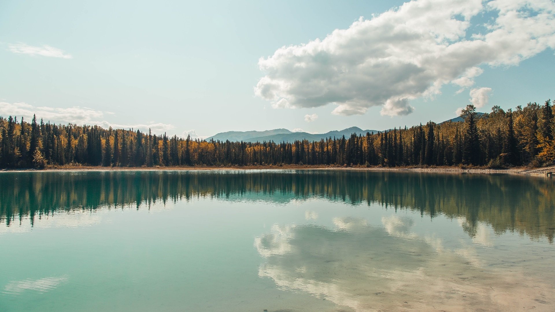 九游网游官网-“研究分析：不同球队的战术风格大比拼”，nba球队战术图解