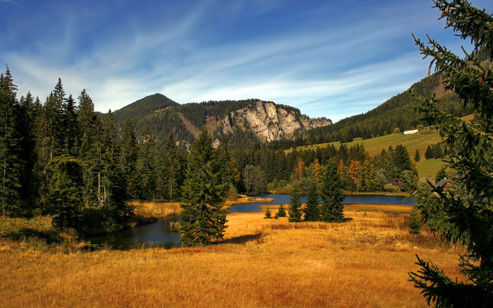 中国男篮集训营新战术理念引领训练新风潮，中国男篮集训队在干什么