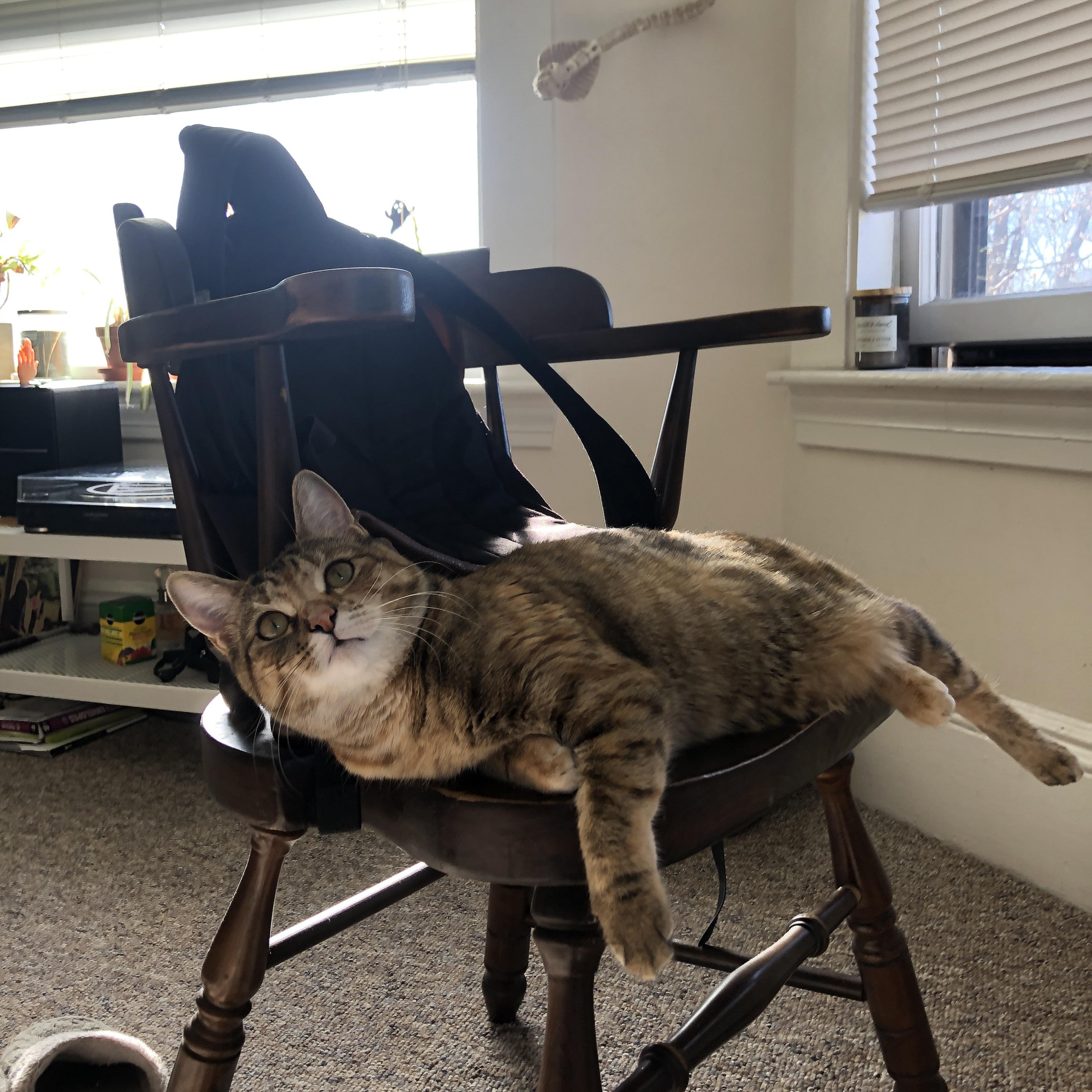 九游登录中心-关键一击：进攻策略在斯诺克比赛中的巧妙运用，斯诺克规则进球顺序视频