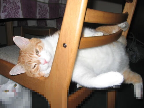 未来联盟：科技与篮球的融合将带来哪些“黑科技”？，科技蓝意义