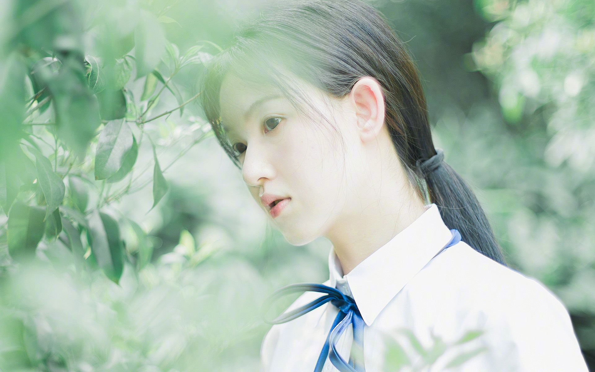 球场战术大揭秘：教练如何设计绝杀战术？，球场战术图