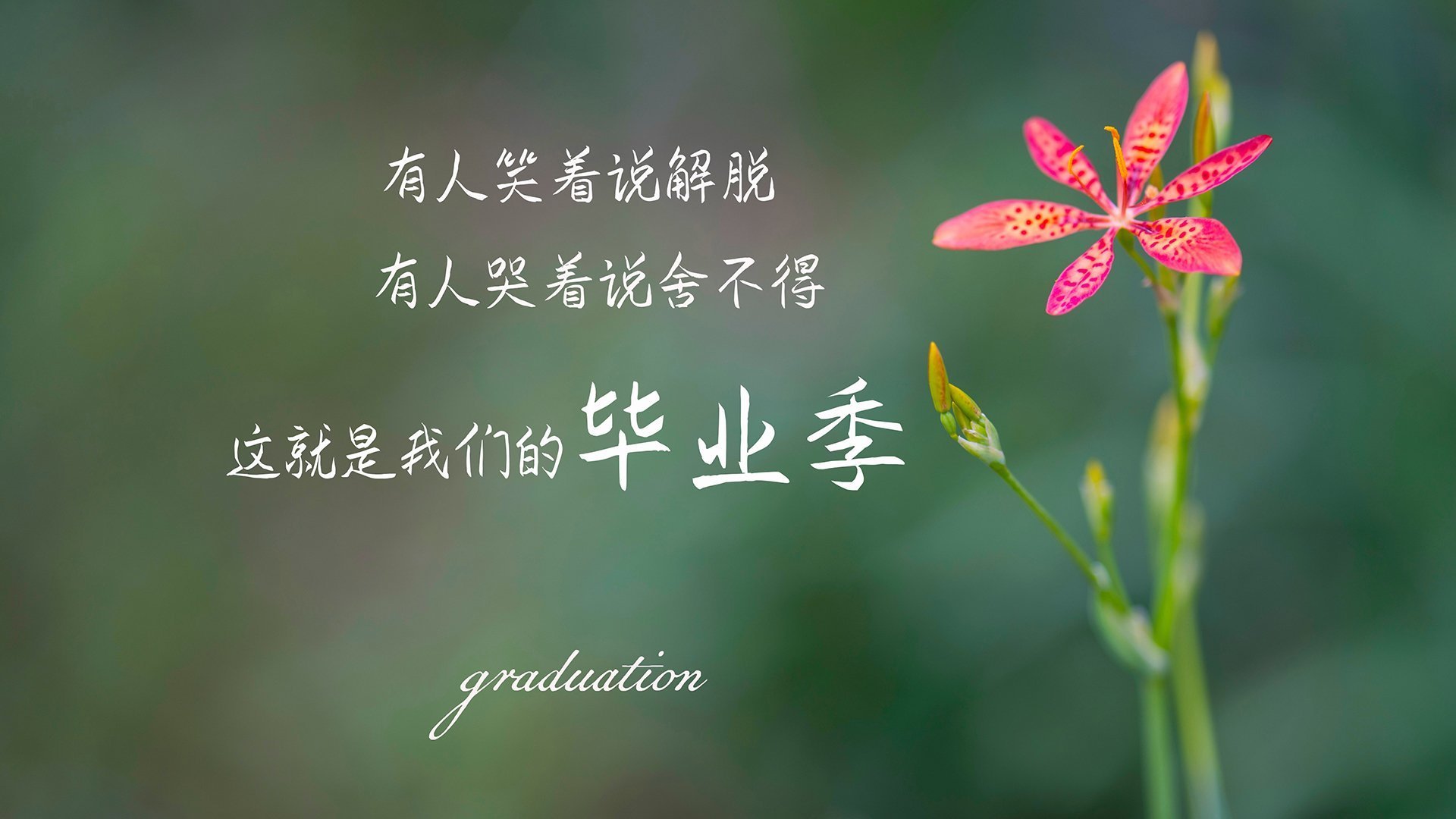 瑞士马术协会推出青少年马术培训计划，培养未来骑手。，瑞士mas项目