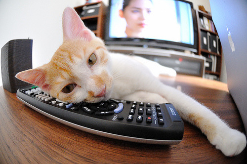 英超争夺激烈，比分3-2，比赛关键数据：两队射门次数相当，控球率悬殊