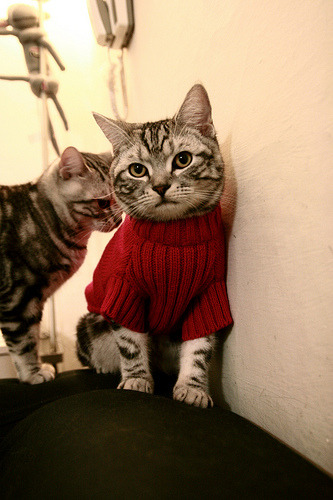 多特突然离队，俱乐部踢球选手书写新篇，多特足球队