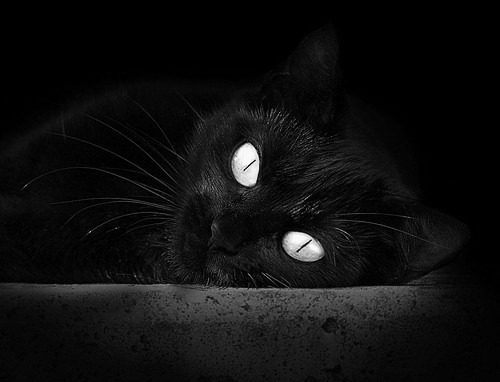 多特突然离队，俱乐部踢球选手书写新篇，多特足球队