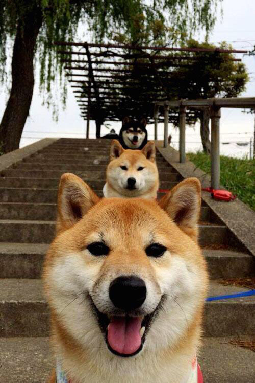 悬念丛生排球对决结果揭晓，悬念丛生排球对决结果揭晓视频