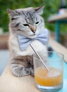 掘金溃败约基奇表现低迷，掘金选中约基奇