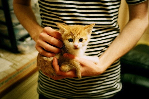 江苏男篮势如破竹,上升势头不减,江苏男篮官网