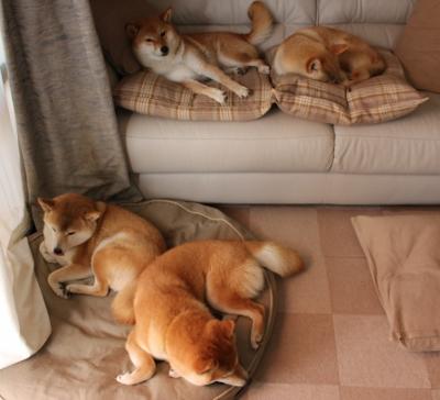 九游登录中心-热那亚-战平博洛尼亚，陷入平局泥潭，博洛尼亚对热那亚预测分析