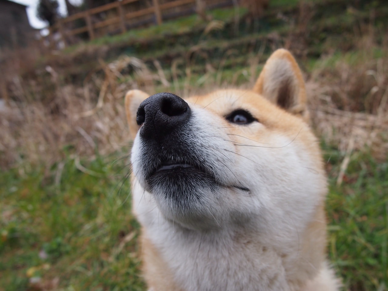 电竞游戏开发中的竞技机制设计与玩家反馈融合分析，电竞游戏项目项目介绍