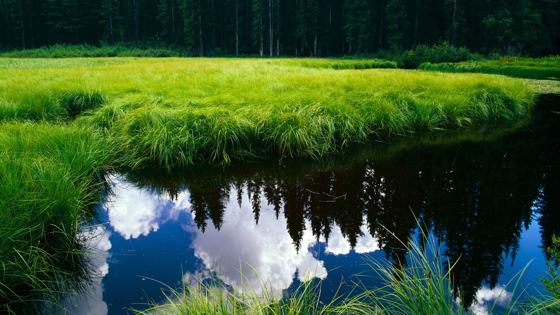 九游娱乐(jiuyou)官方网站-芬兰国家队取得欧洲杯正赛资格，实现历史突破，芬兰欧洲杯预选赛10场比赛