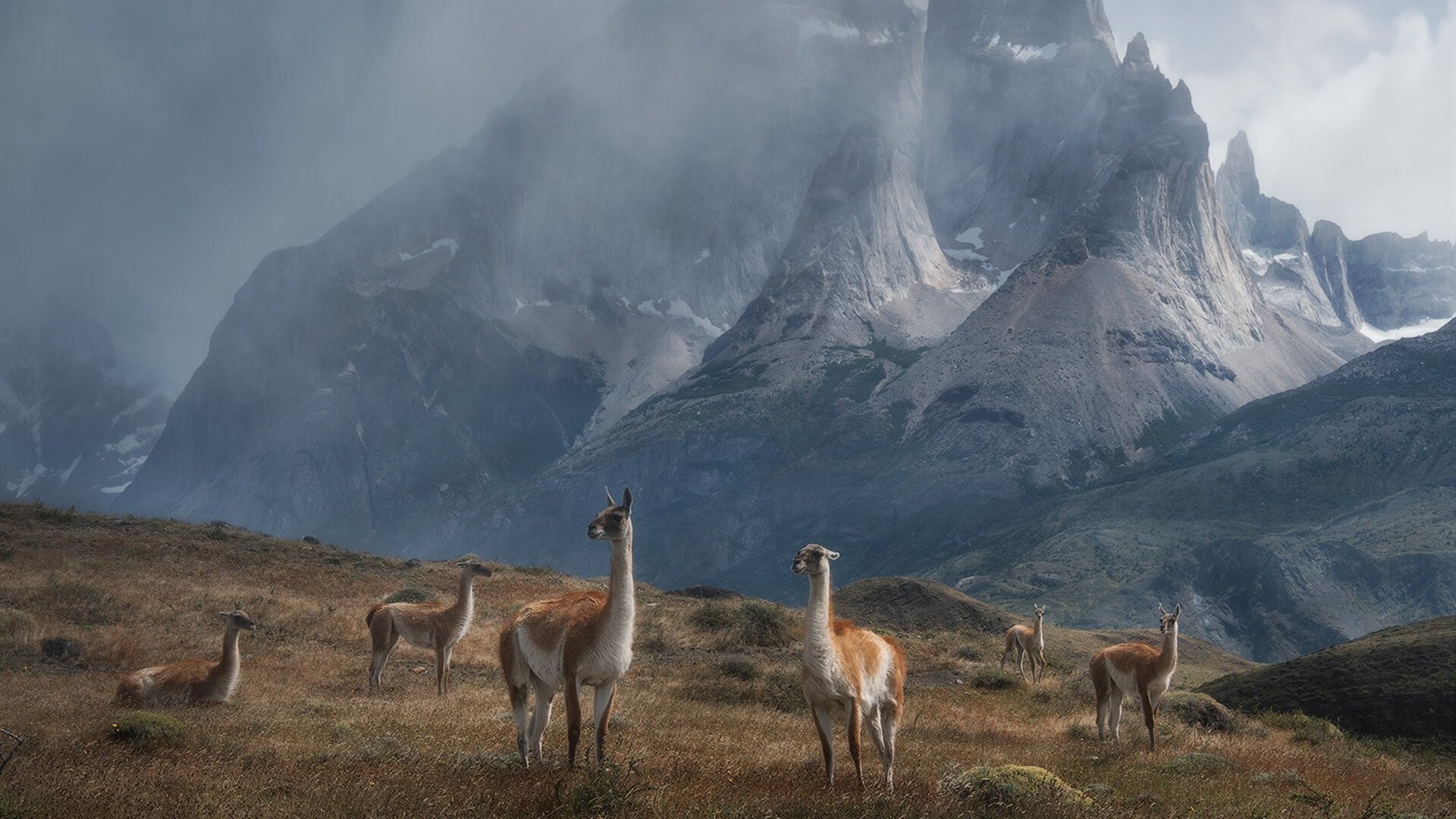 NBA球队赛事转播技术创新应用，nba转播计划cctv