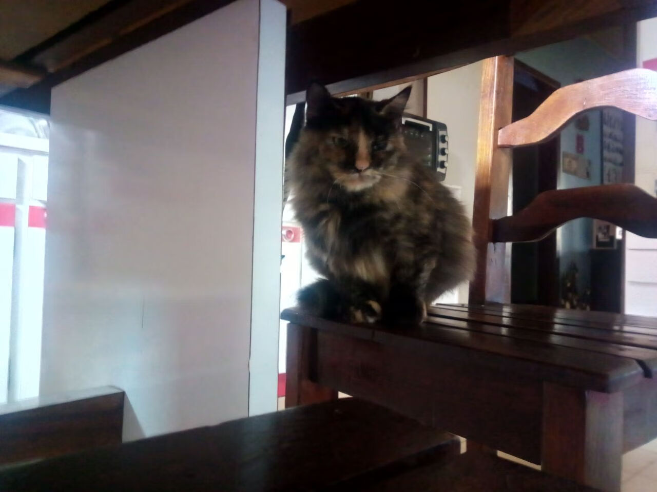 体育赛事志愿服务经验对学生综合能力提升的作用，体育赛事志愿者的工作要求