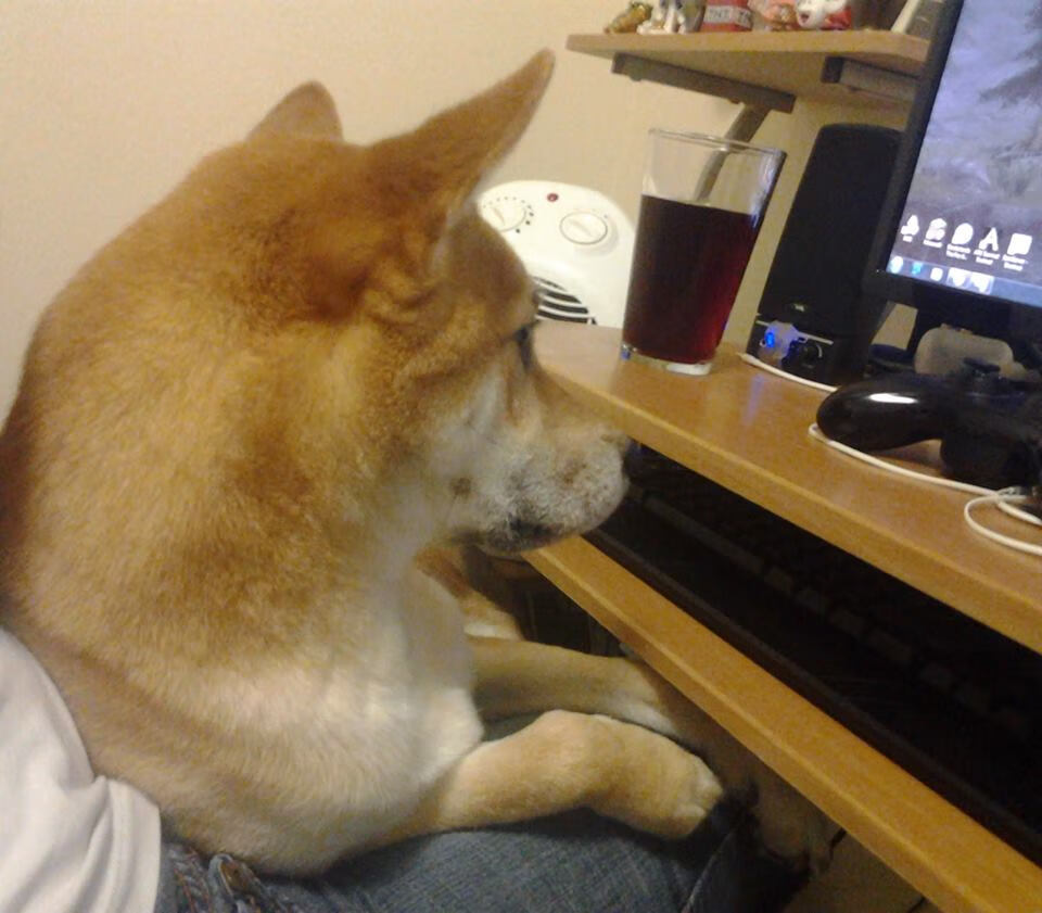 运动员伤病预防与康复体系，运动员的运动创伤及预防