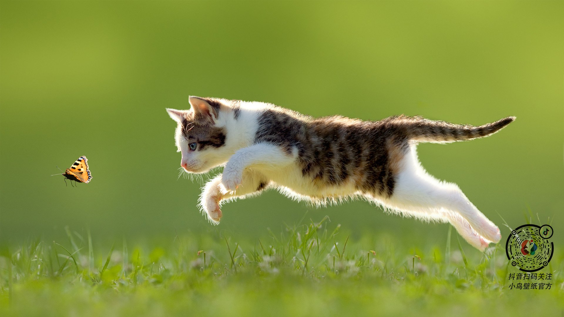 乒乓球国家队专项数据平台助力成绩提升,国家乒乓球网站