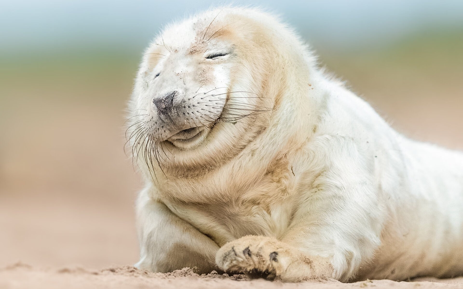 赛季中教练战术变革后场均进球变化趋势，教练技术犯规几次下场