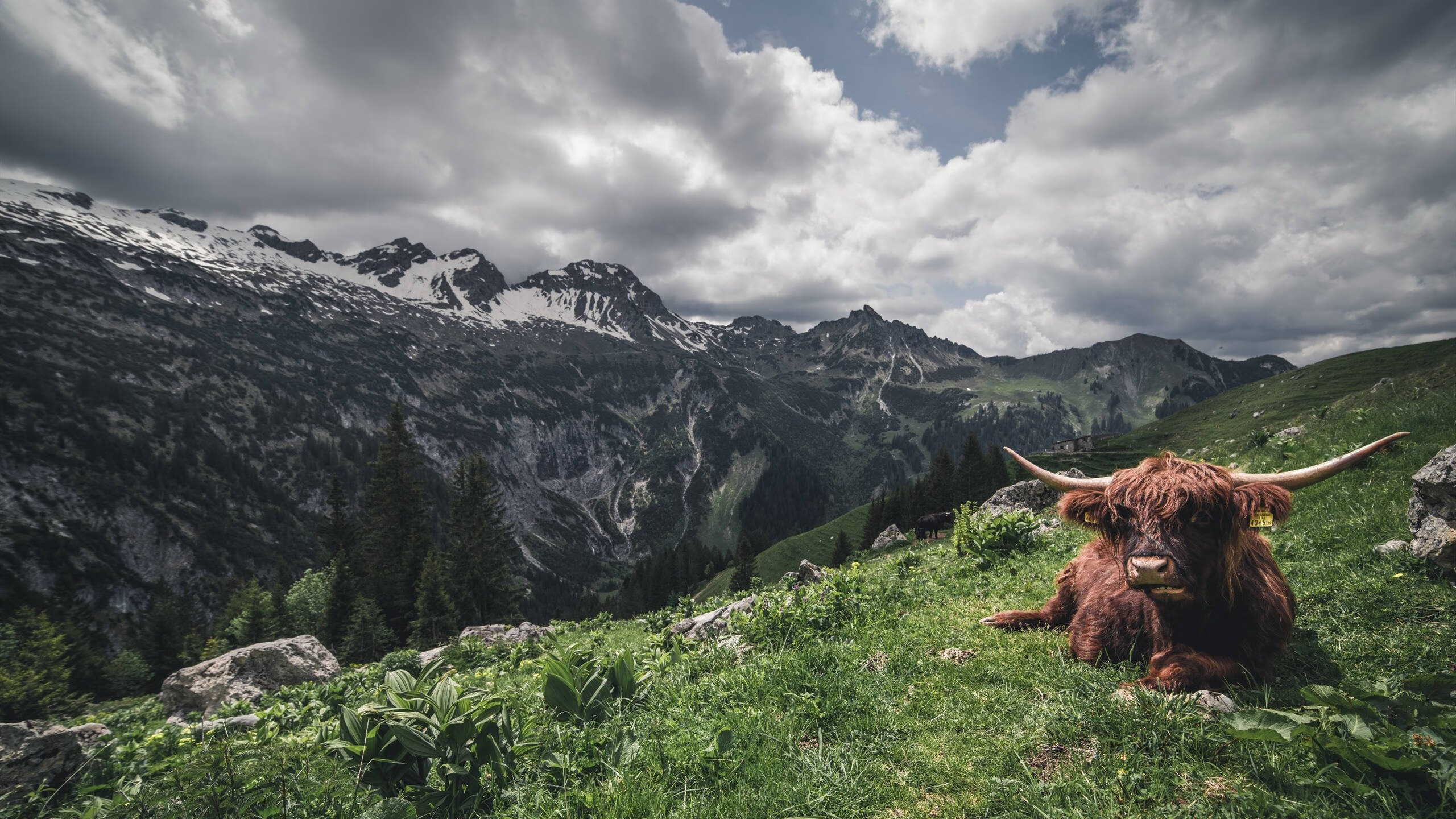九游网页版官网-足球俱乐部青训发展持续推进，足球俱乐部青训发展持续推进的措施
