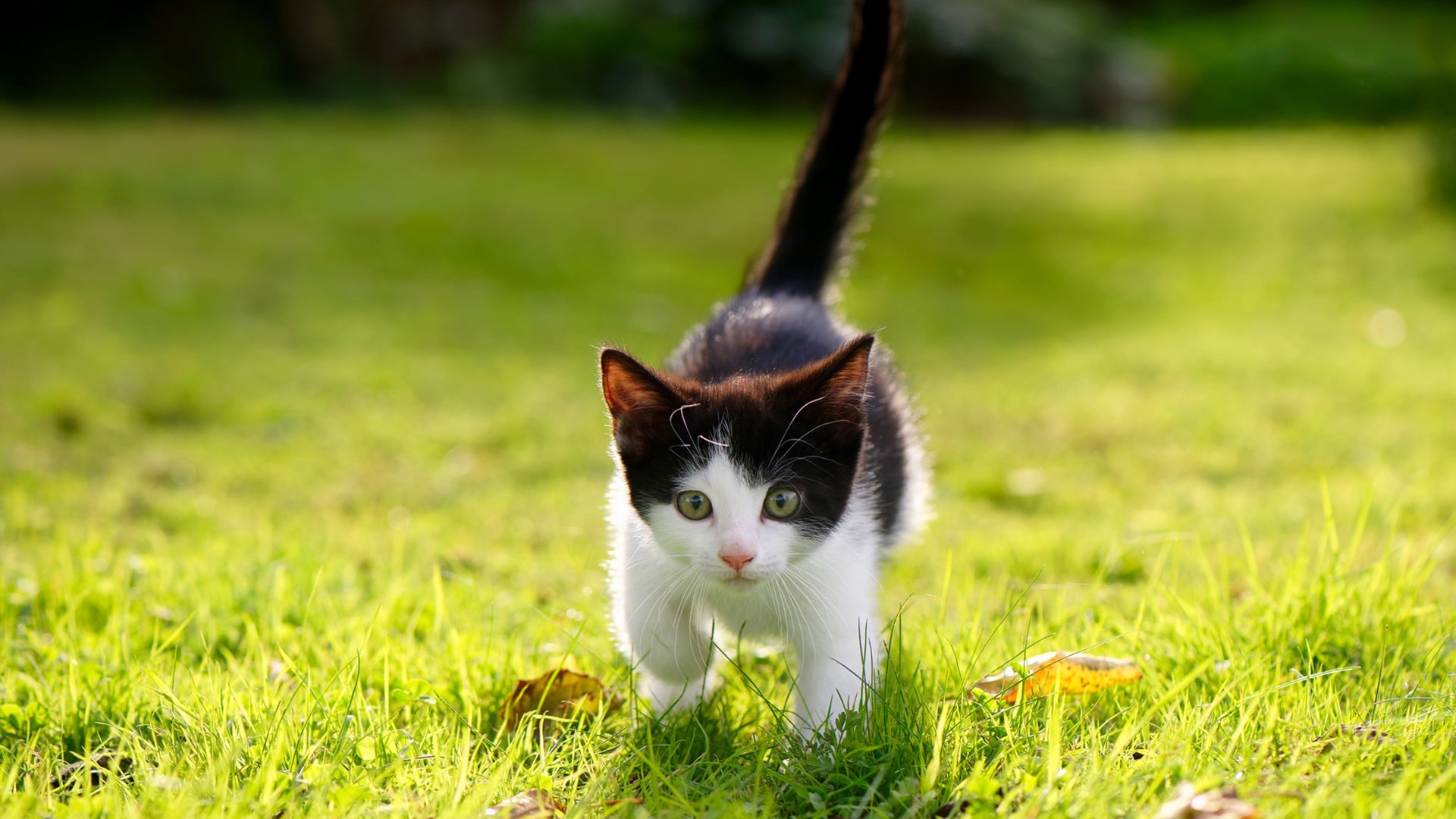 体育明星公益捐赠物资送达边远山区,体育明星公益活动