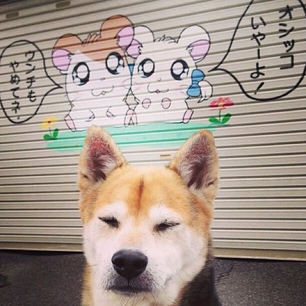 媒体报道聚焦热门话题，媒体纷纷报道