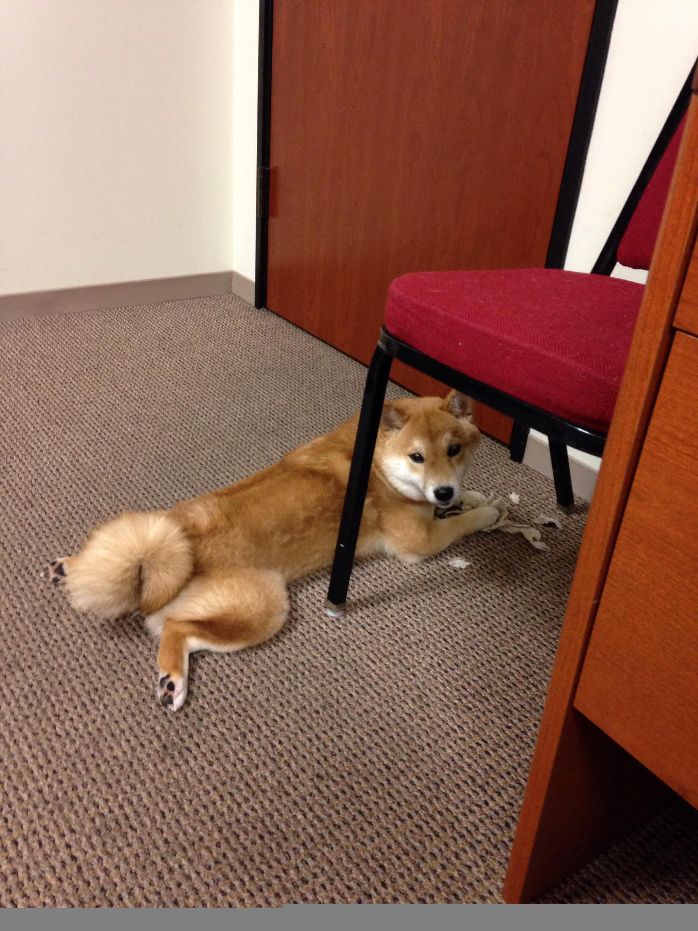 英超冠军最后冲刺:一场场“生死战”精彩绝伦